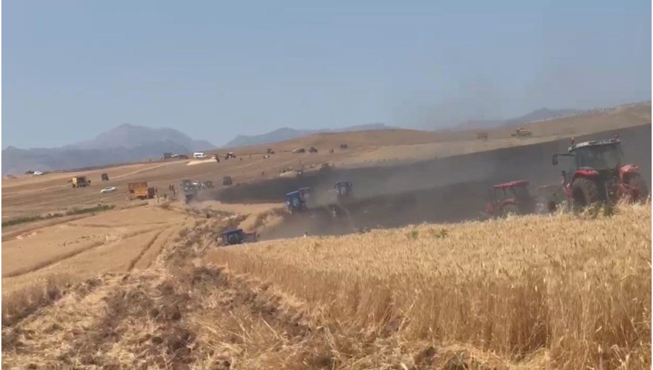 350 dönümlük buğday tarlası yandı