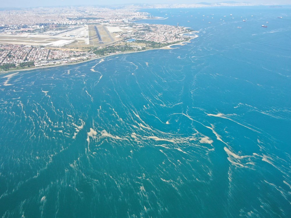 Deniz salyası bu kez Bakırköy kıyılarını sardı - 9