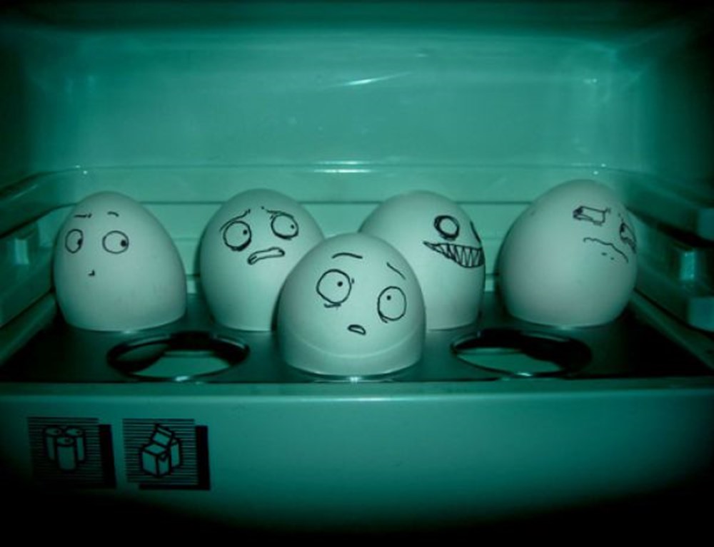 Включи 3 яйца. Смешные рожицы на яйцах. Веселые яйца. Яйца с глазками.