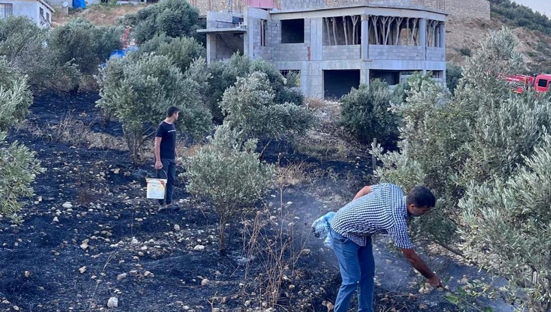 Antakya’da zeytinlik yangını