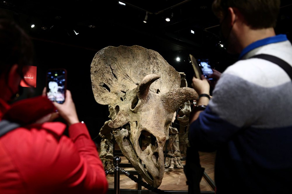 Şimdiye kadar bulunan en büyük triceratops iskeleti 6,6 milyon euroya satıldı - 6