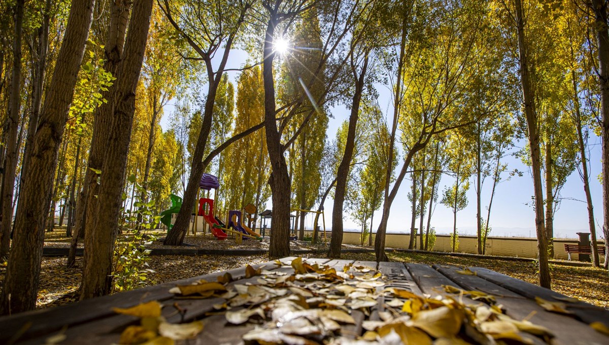 Erzurum'un kırsal mahallelerinde sonbahar renkleri hakim oldu Erzurum'un kırsal mahallelerinde sonbahar renkleri hakim oldu