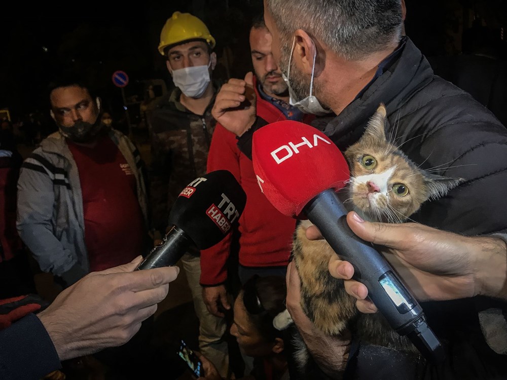 İzmir'de enkazda K-9 köpeği kediyi kurtardı - 6