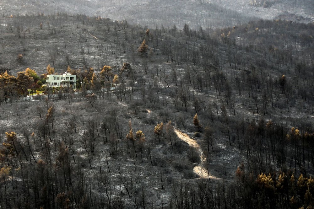 Yunanistan’da yangın felaketinin boyutları ortaya çıktı: 586 yangında 3 kişi öldü, 93 bin 700 hektardan fazla alan yandı - 34