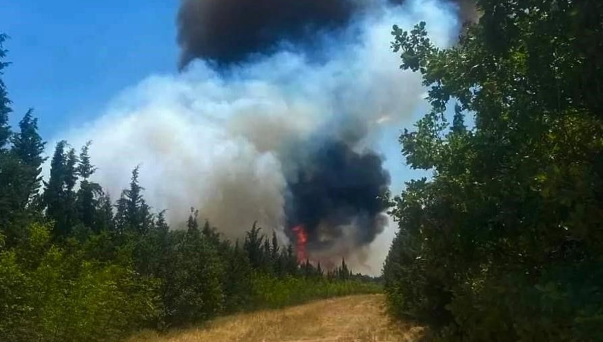 Kırklareli'nde ağaçlık alanda yangın