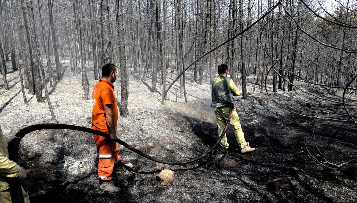 Karabük'te orman yangını sürüyor
