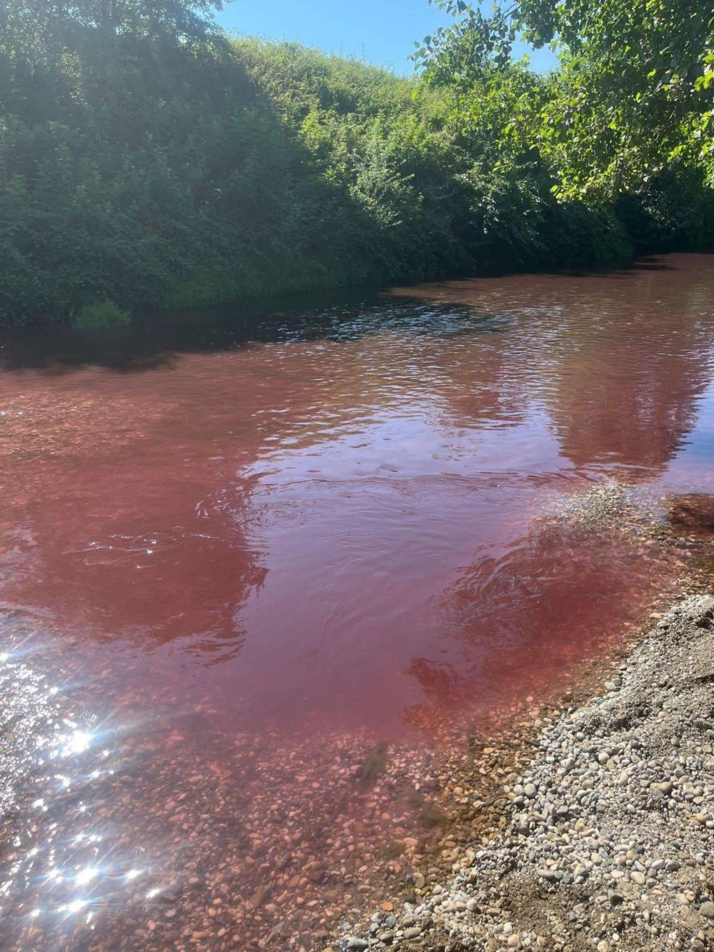 Mudurnu Çayı'nın rengi kırmızıya döndü - 1