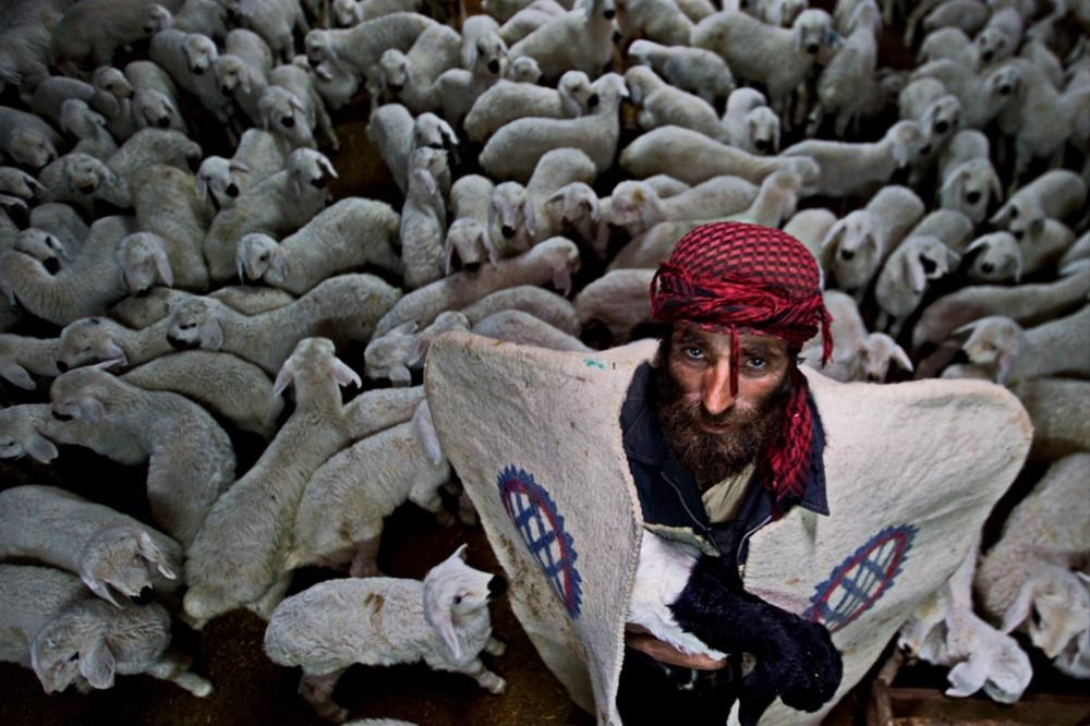 National Geographic Türkiye en iyileri belirledi - 1