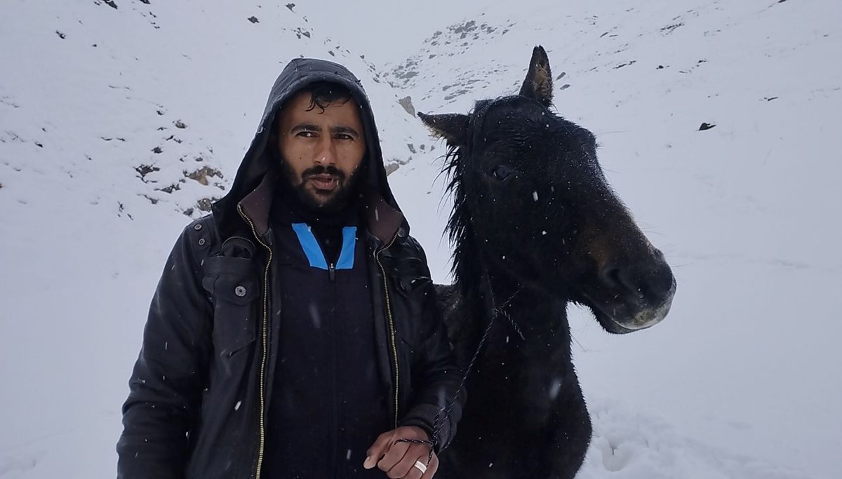 Hakkari'de yaralı at mahsur kaldığı yayladan kurtarıldı Hakkari'de yaralı at mahsur kaldığı yayladan kurtarıldı