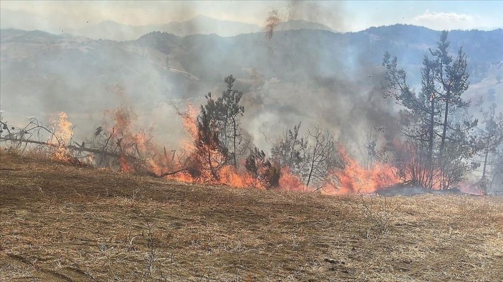 Orman yangınları son durum 2025: Bursa, Karabük, Uşak, Kahramanmaraş, Bingöl, Antalya yangınları söndürüldü mü? - 4