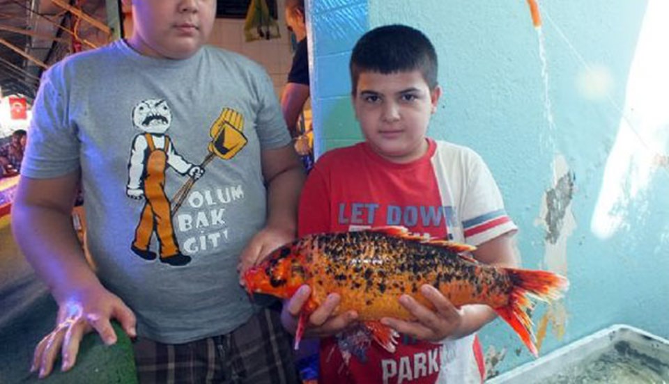 İznik Gölü'nde balık türleri değişiyor - 1