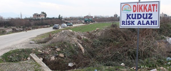 Tilkiden bulaşan kuduz nedeniyle köy karantinada