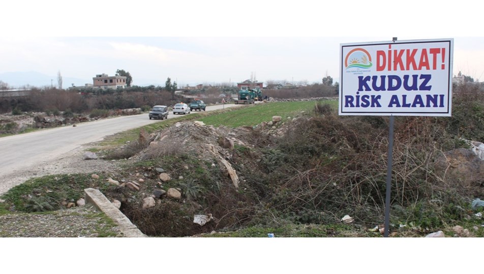 Tilkiden bulaşan kuduz nedeniyle köy karantinada