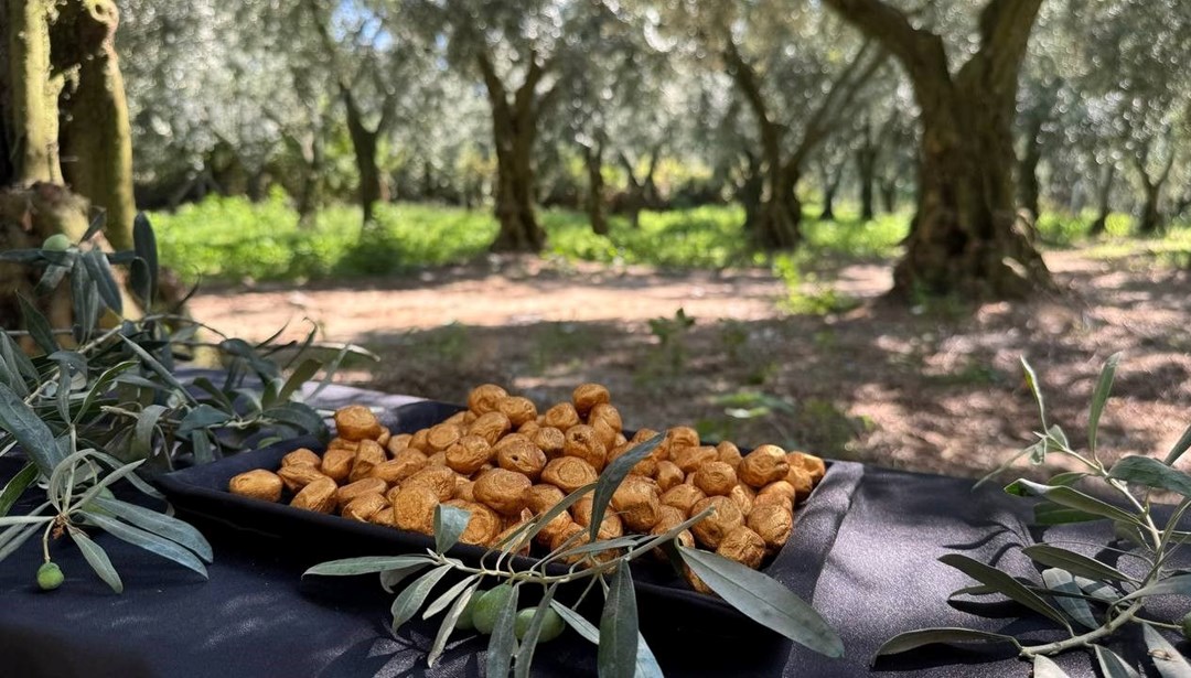 Altın kaplamalı zeytin görenleri şaşırtıyor! Bir kutusunun fiyatı dudak uçuklatıyor - Son Dakika Türkiye Haberleri | NTV Haber