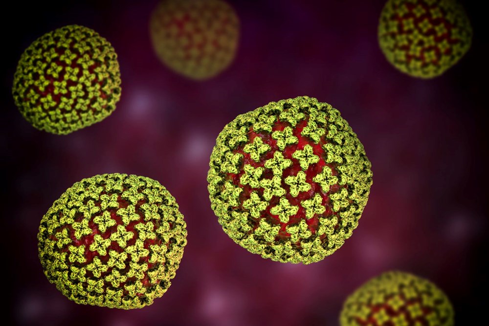 Ünlü oyuncunun eşini öldüren virüs 3 can daha aldı: Yetkililer telaşlı 74 mH1INjZb5U YeUShp8YH9A