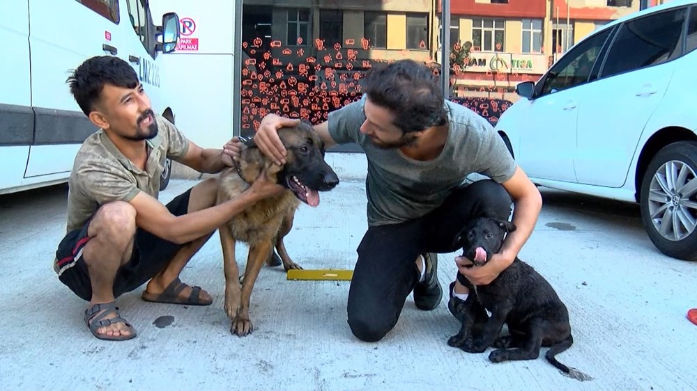 İkitelli�de anne köpek ve yavrusu alev kapanından kurtarıldı Magazin