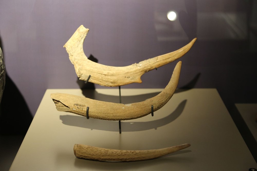 Askeri kışla Tunceli'nin ilk müzesi oldu - 8