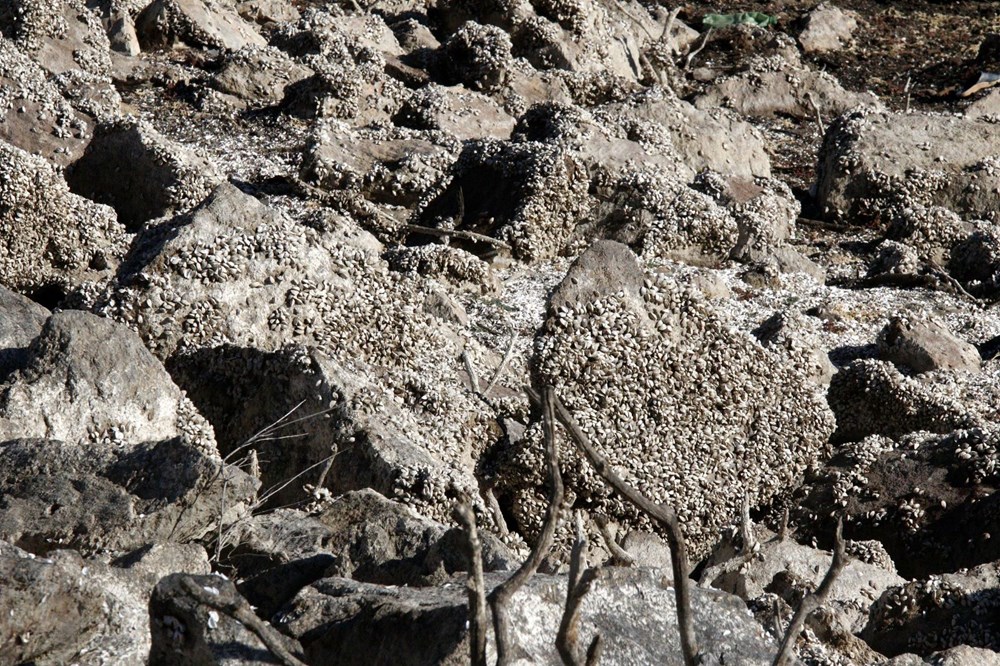 Çanakkale'de baraj boşaldı, su kullanımıyla ilgili yasaklar geldi - 14