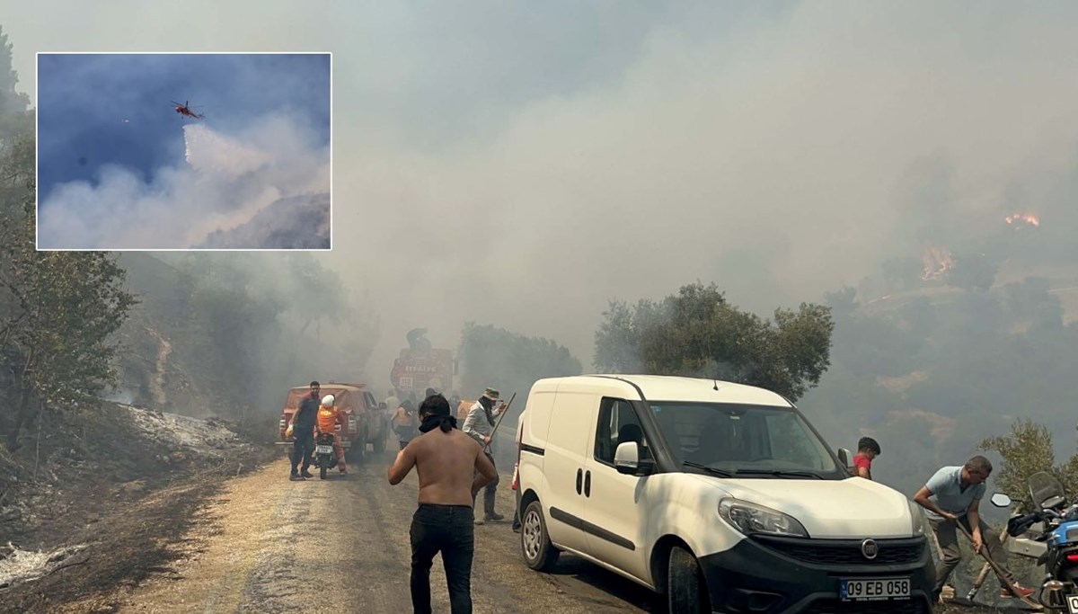 Aydın'da orman yangını