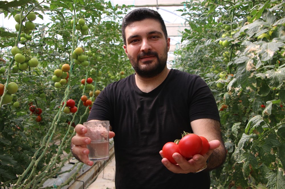 Elazığ'da topraksız tarım, kadınlara iş kapısı oldu - 11