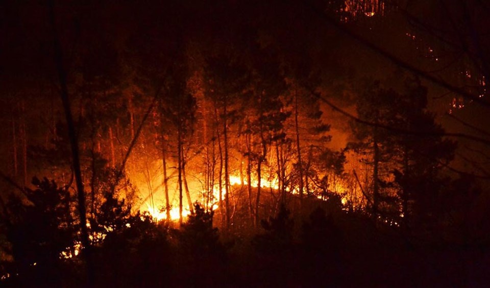 Samsun ve Zonguldak'ta yangın söndürme çalışmaları devam ediyor - 1
