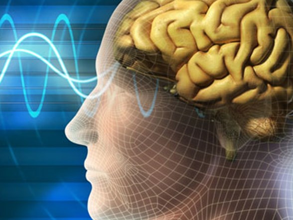 Olum Aninda Beyin Fonksiyonlari Artiyor Ntv