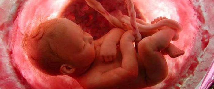 Hamilelik Doneminde Okunmasi Gereken Sure Ve Dualar Dualar Hamilelik Hamile Olmak