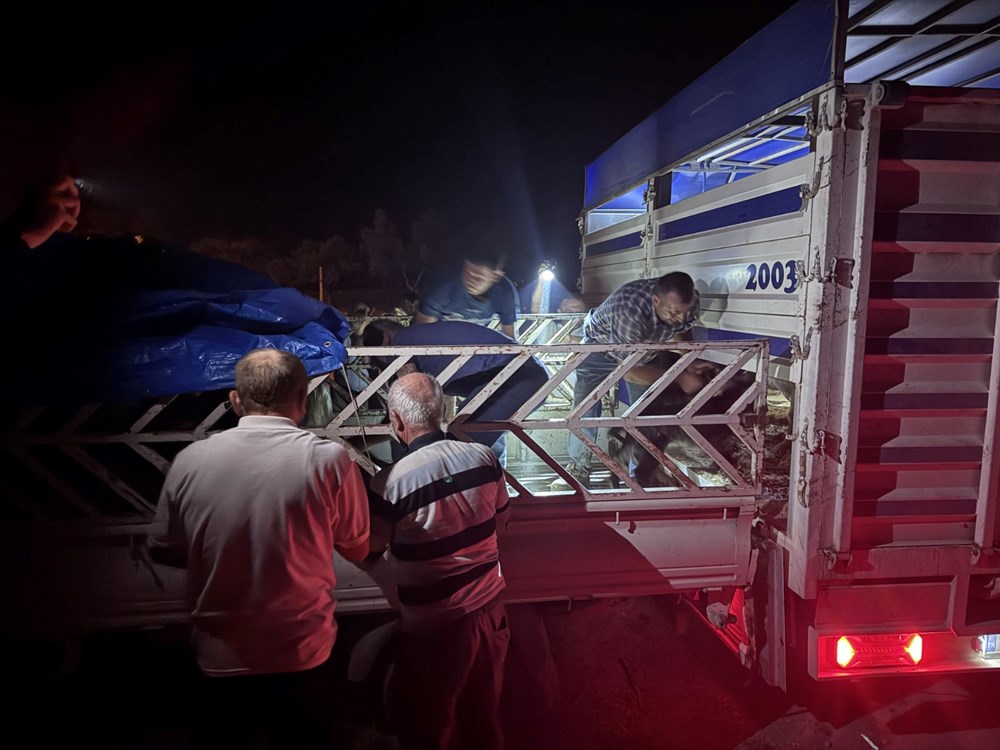 Sakarya'da iki mahalle tahliye edildi: Alevlerle mücadele gece boyu sürdü - 12
