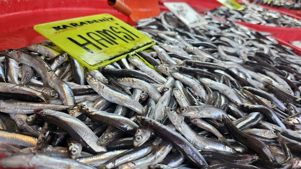 Hamsi, sardalya ve levrek var: Balık tezgahları boş kalmayacak 72 mTCa7ij28Uy OvSqQ FEgw