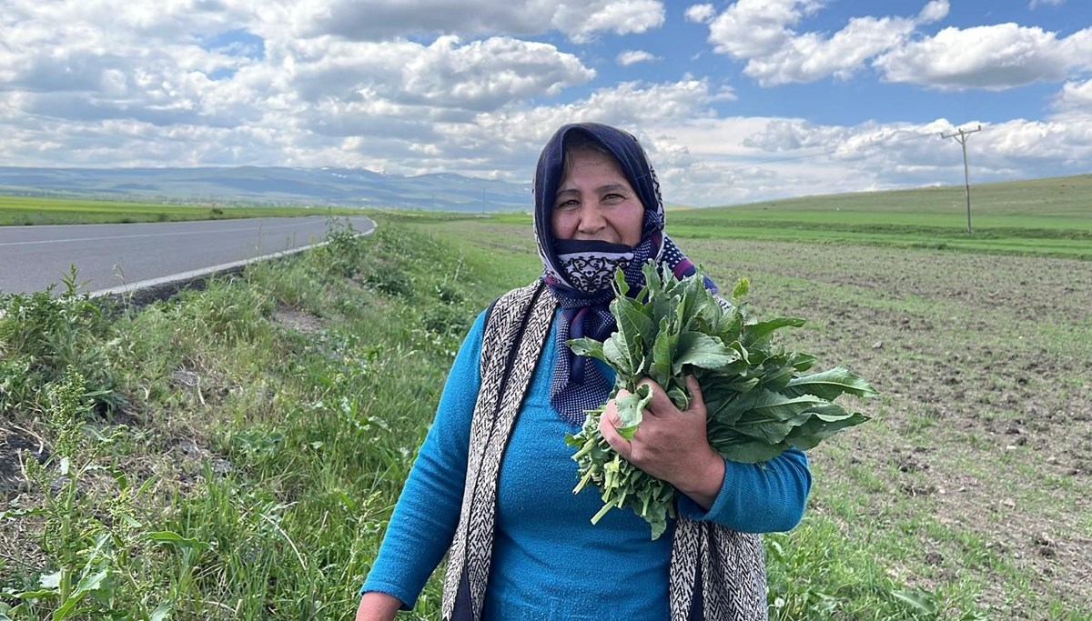 Bahar aylarında kendiliğinden yetişiyor: Şifa kaynağı 