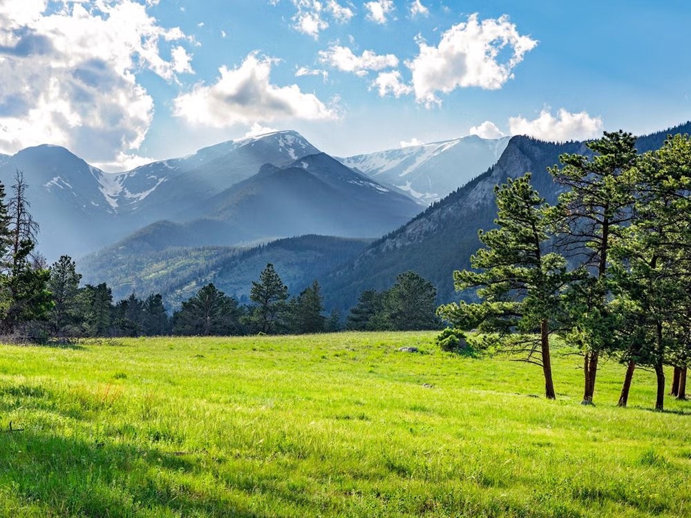 Uzman Detayı: Ağrı Kesici Gizemin Perdesi Aralanıyor 72 mW EU0HIE6Cao1NY83UEA