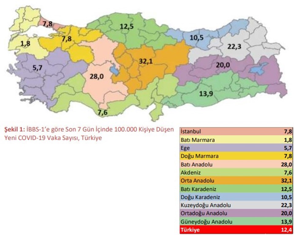 Sağlık Bakanlığı raporu: 15 yaşından küçük 12 çocuk kaybettik - 2