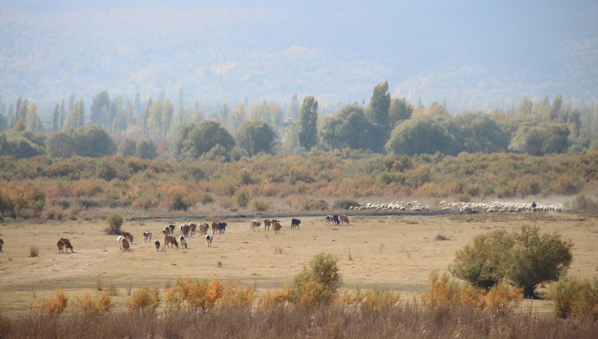 Tamamen kuruyan Akşehir Gölü'nün tabanında su bulundu