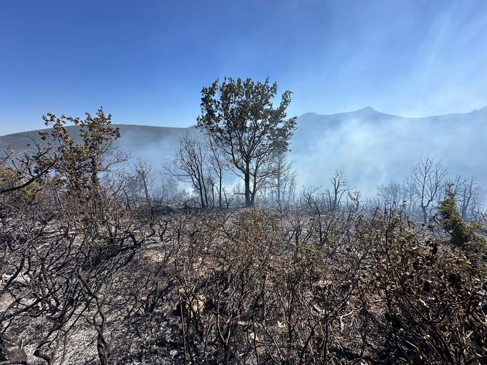 Antalya, Çanakkale ve Konya'da orman yangını - 5