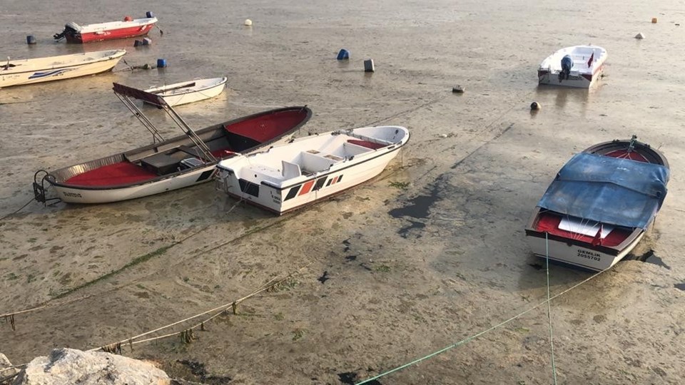 Marmara'da korkutan tehlike: Koloniyal müsilaj - 1