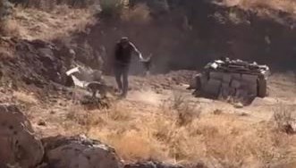 Sivas'ta yavru köpeğe sopalı şiddete gözaltı