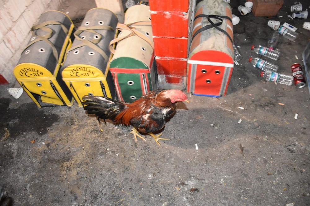 Horoz dövüşü düzenlenen derneğe baskın: 69 kişiye 431 bin TL ceza - 6