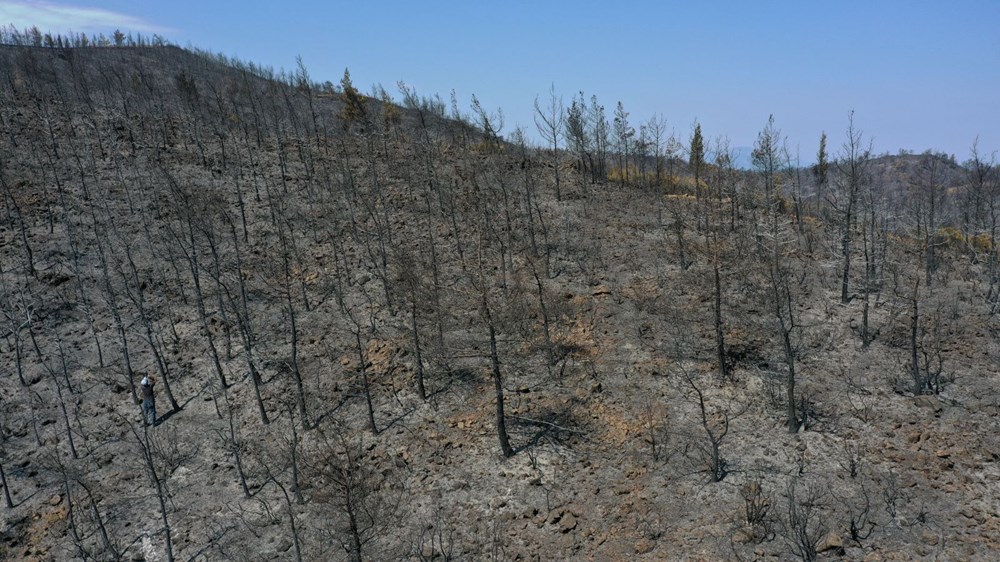 Marmaris'te yanan ormanlık alanda soğutma çalışmaları sürüyor - 12