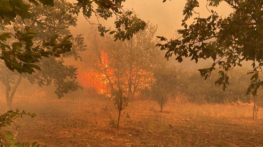 Çanakkale'de orman yangını (6 köy ve üniversite kampüsü tahliye edildi) - 7