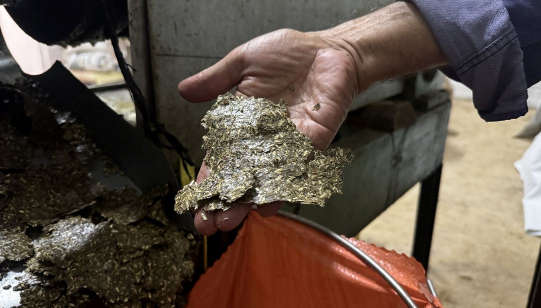 Değeri her geçen gün artıyor: Talebi karşılamakta zorlanıyorlar