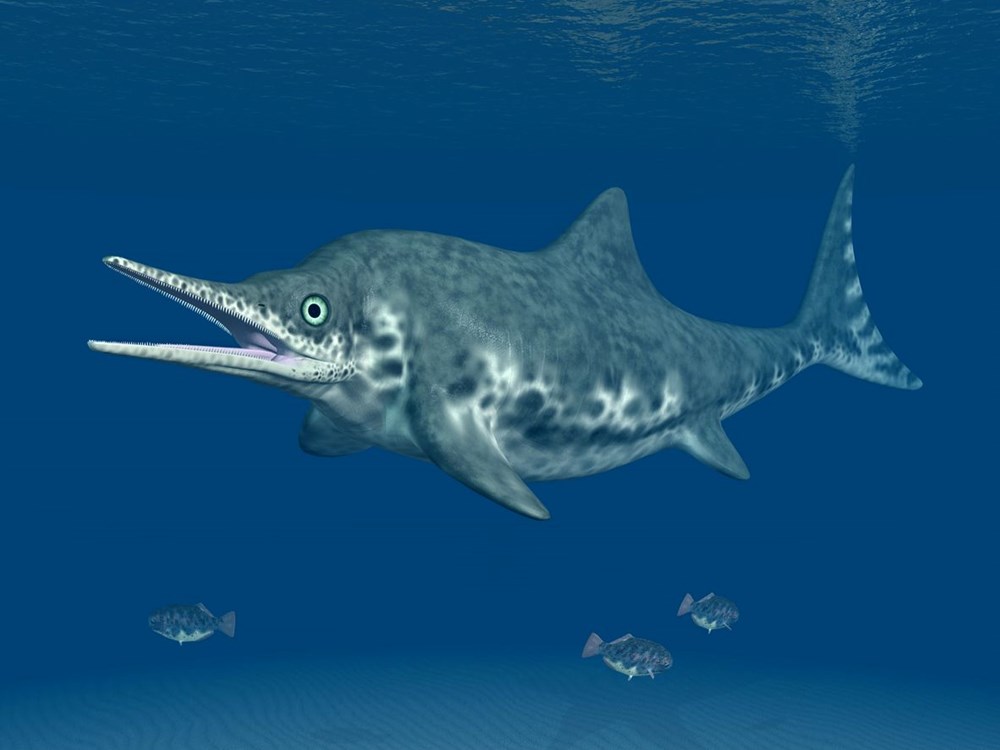 Şili'de 130 milyon yıllık hamile deniz ejderhası fosili bulundu - 4