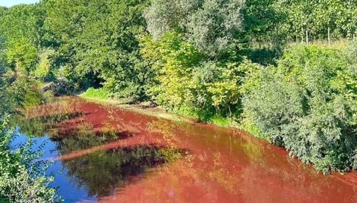 Çayı kirleten firmanın faaliyeti durduruldu