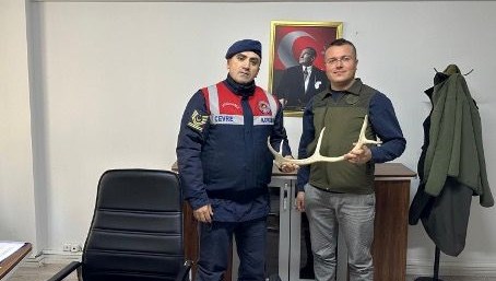 Sahibinden satılık geyik boynuzu! Eskişehir'de yakalandı