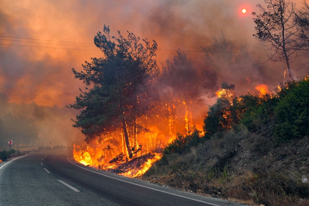 Türkiye alevlerle mücadele ediyor: 3 ilde orman yangını, ekiplerin müdahalesi sürüyor - 11