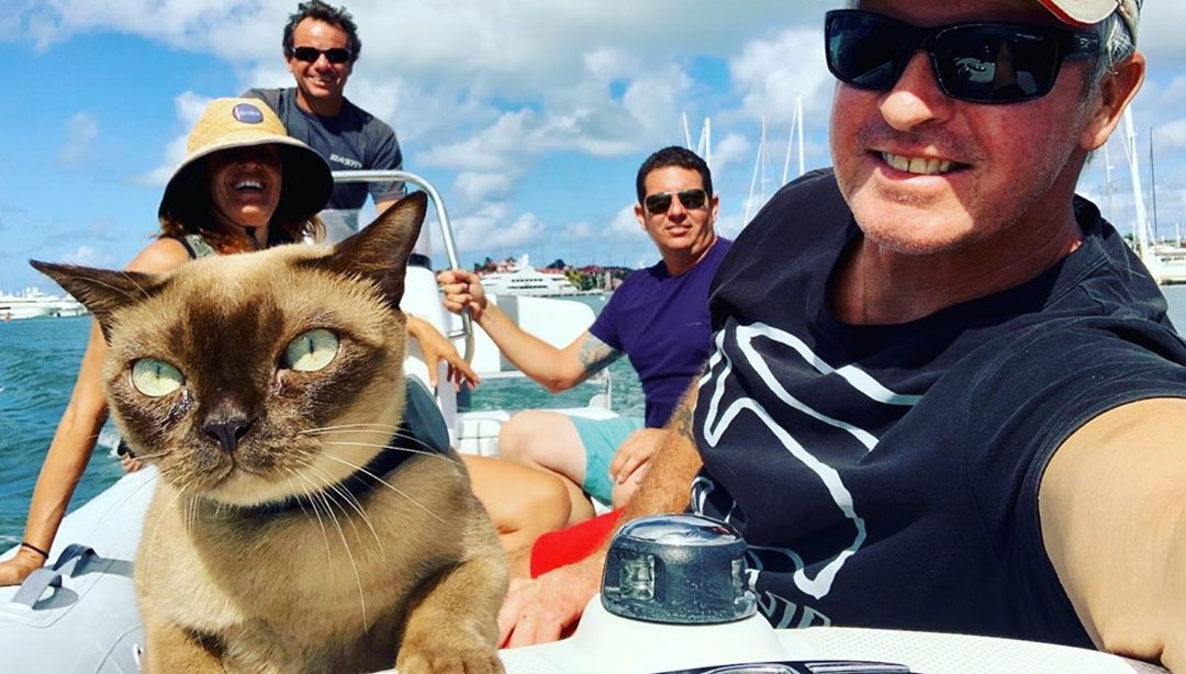 Sosyal medyanın yeni fenomeni: Miss Rigby - Son Dakika Yaşam Haberleri ...