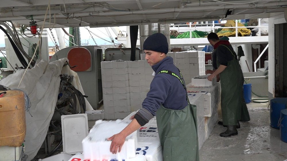 Bolluk tezgahlara yansıyacak: Kasalar dolusu hamsiyle döndüler - 3