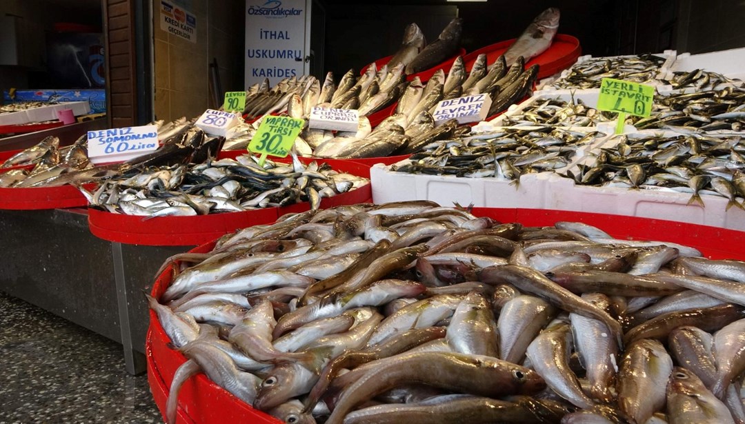 Karadeniz’de bir haftadır etkili olan kar yağışı tezgahlarda balık fiyatlarını yükseltti