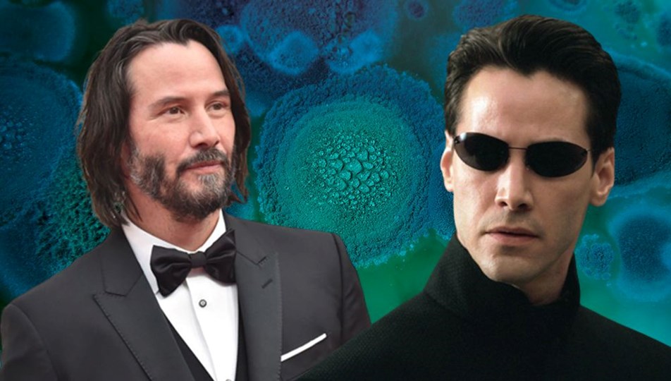 Keanu Reeves'in adı ölümcül nitelikteki bir kimyasala verildi