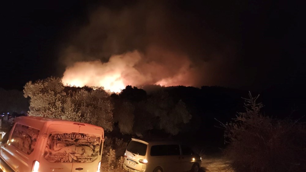 Antalya ve Muğla'da orman yangınları - 5