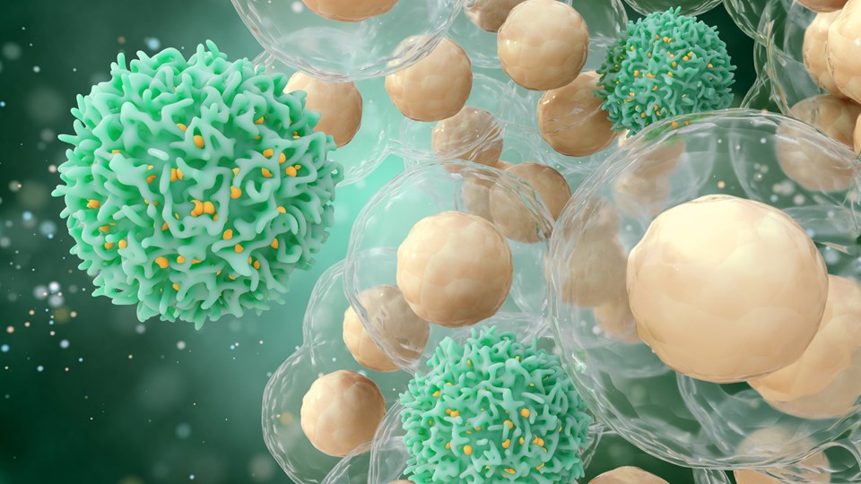 Corona virüsün mutasyonları, "süper hücreler" yoluyla yayılarak antikorlardan kaçabilir - 2
